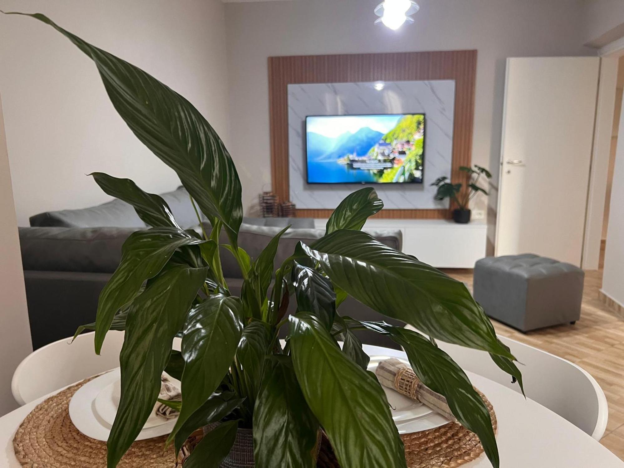 New Modern Tirana Apartment Eksteriør billede